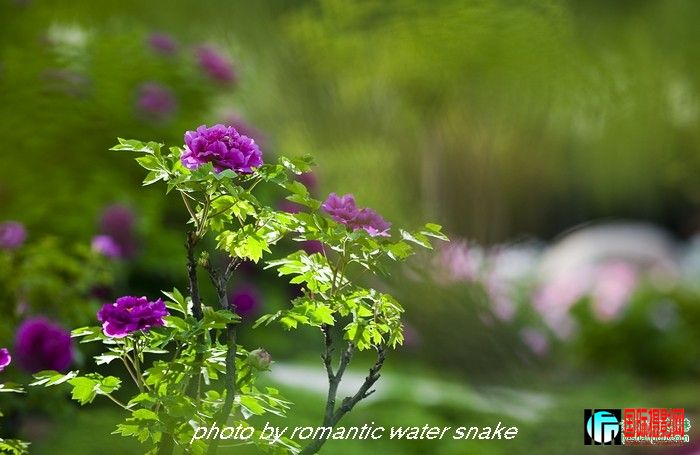 6_71842_6c948d7c5be1681.jpg