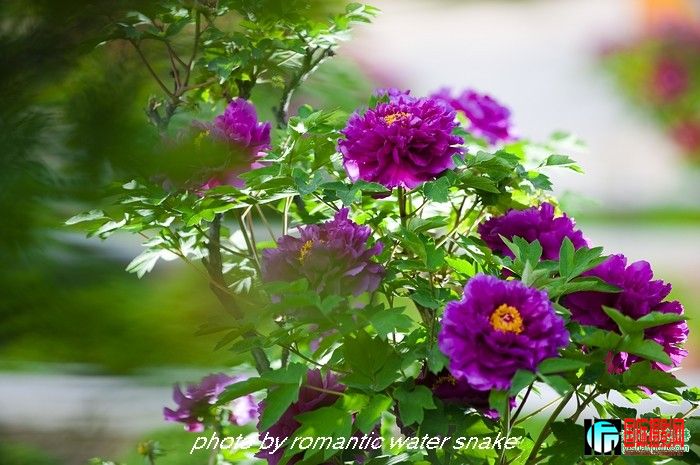 6_71842_820b93e9082f302.jpg