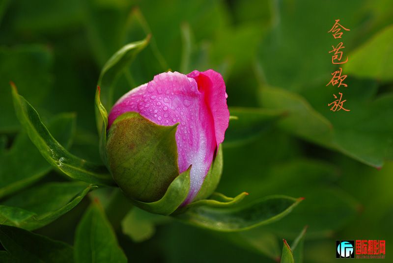 DSC_1730.jpg