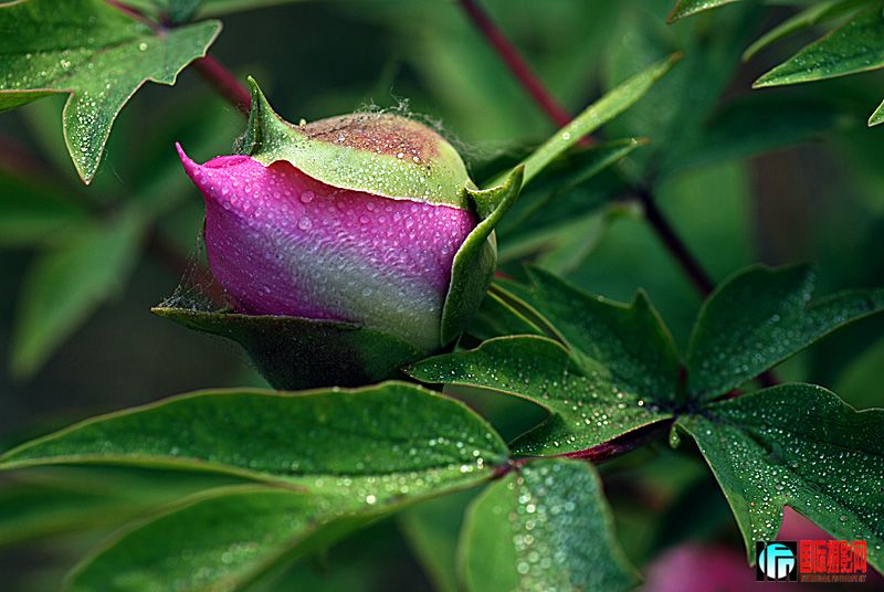 DSC_1804.jpg