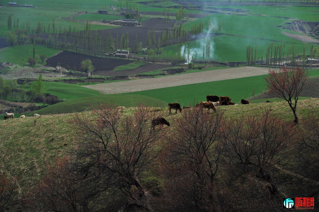  DSC_1459.JPG