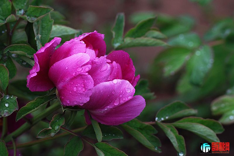 DSC_2430.jpg