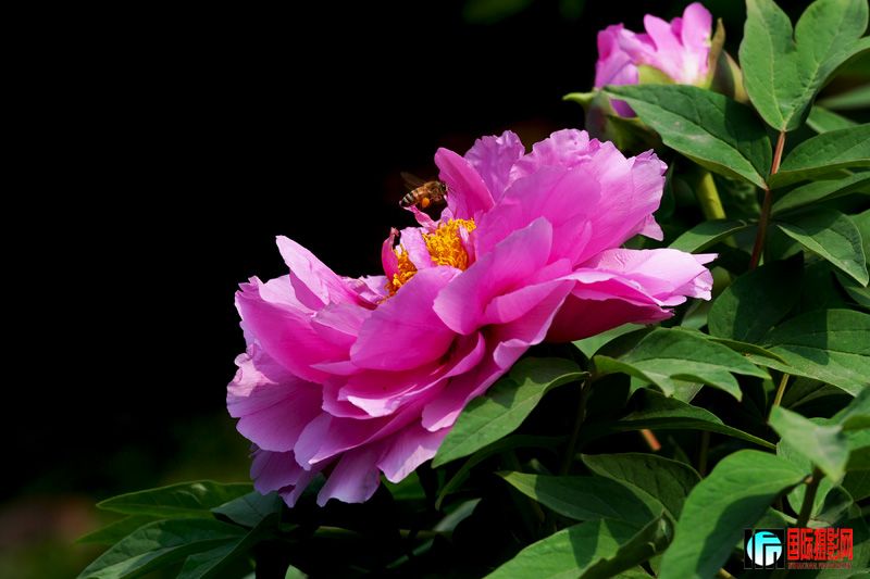 DSC_2190.jpg