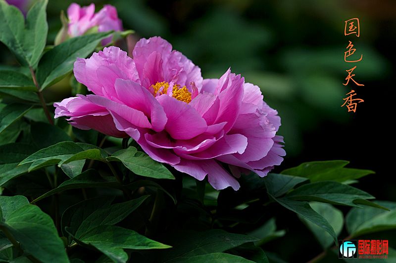 DSC_2077.jpg