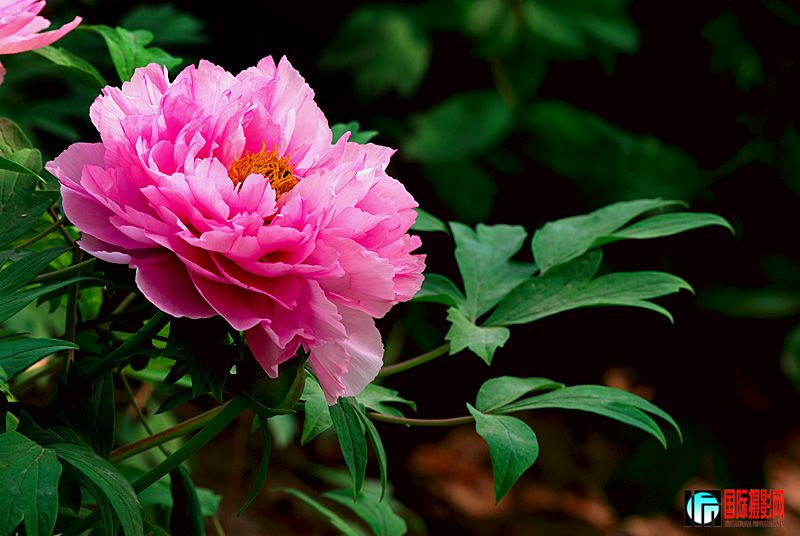DSC_2170.jpg
