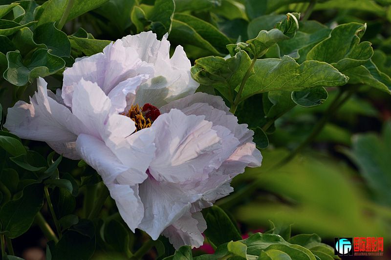 DSC_2288.jpg