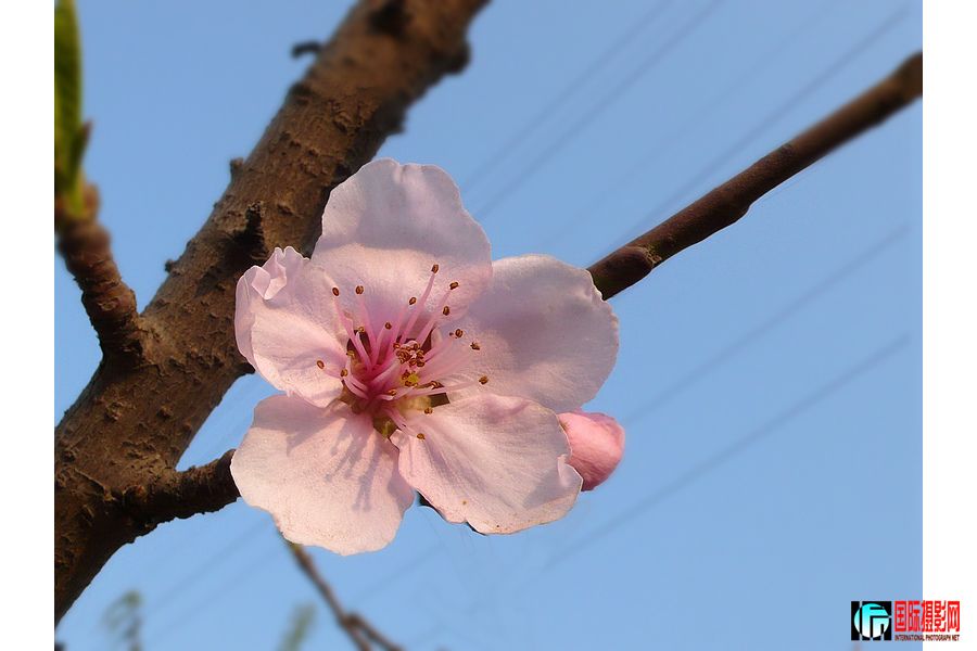 P1040733-.jpg
