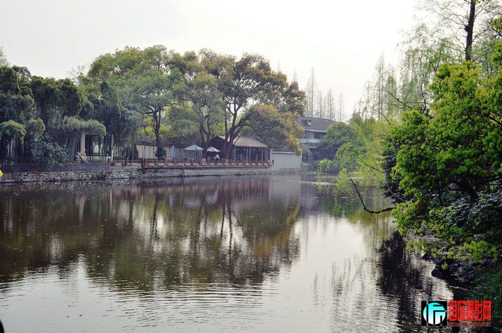 DSC_0197.jpg
