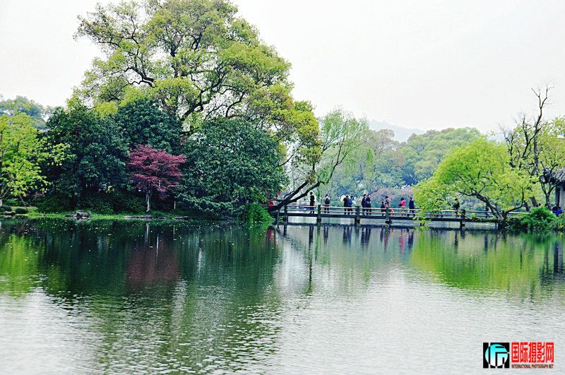 DSC_0194.jpg