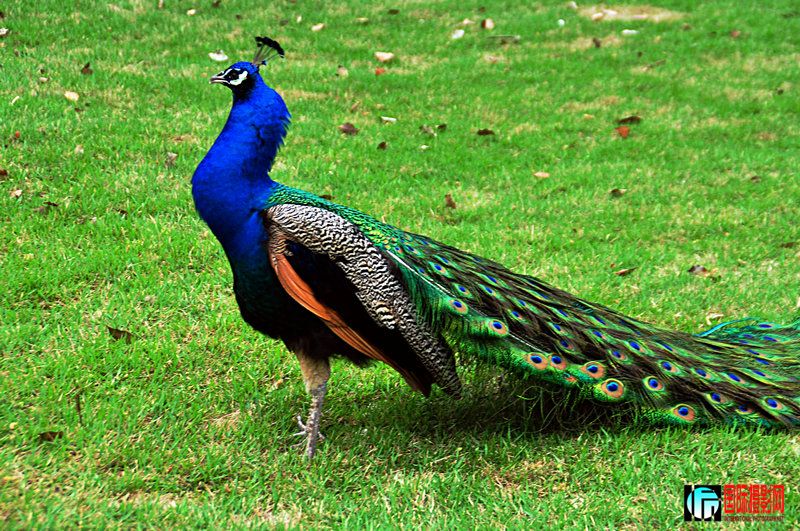 DSC_0038.jpg