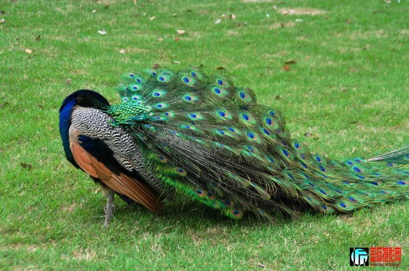 DSC_0047.jpg