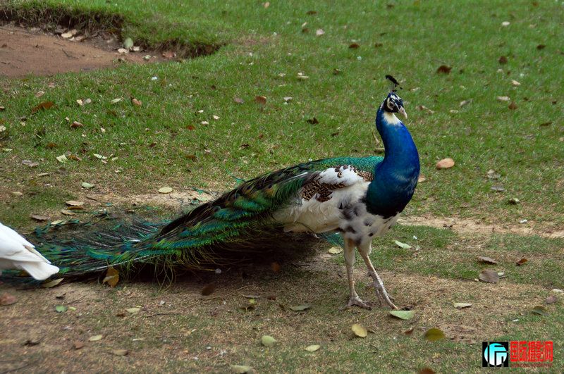 DSC_0892.jpg