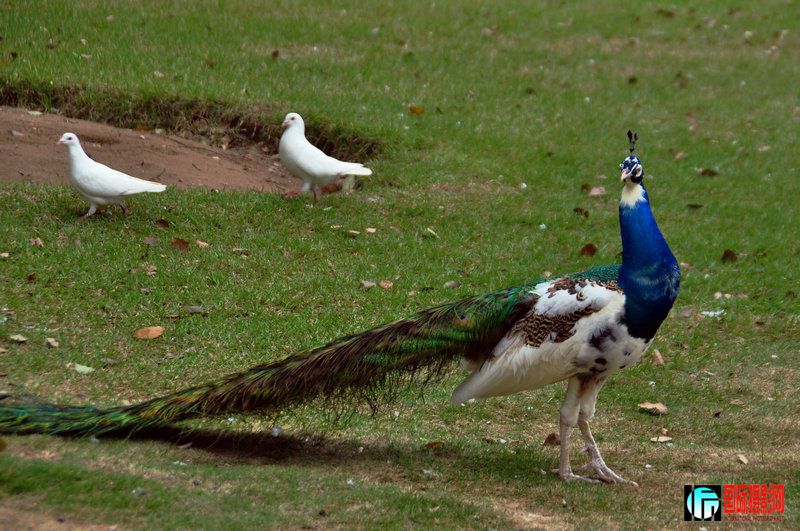 DSC_0843.jpg