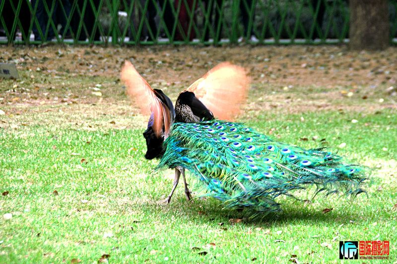 DSC_0117.jpg