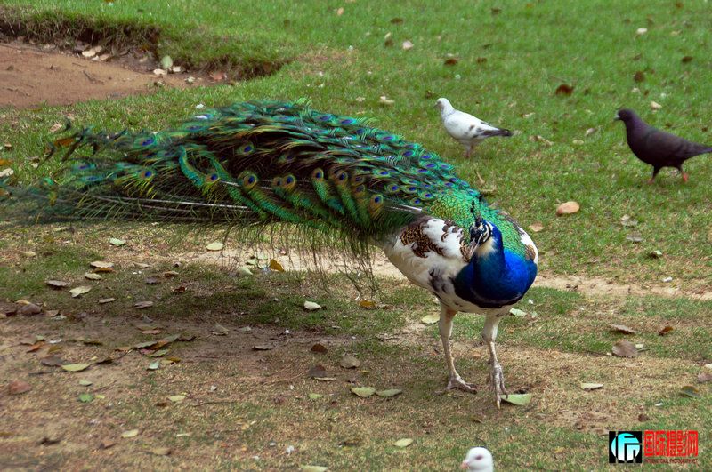 DSC_0894.jpg