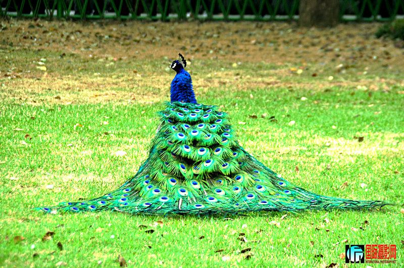 DSC_0114.jpg