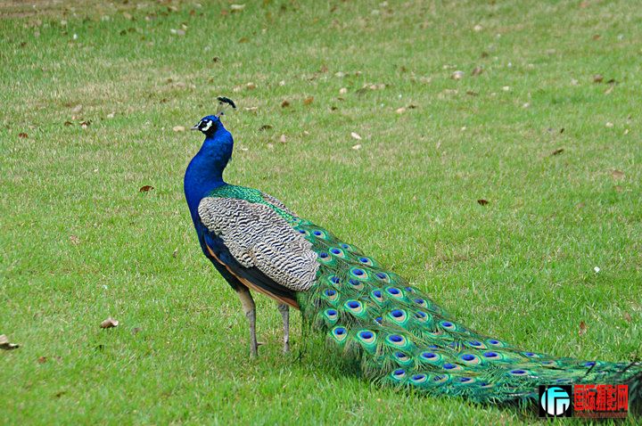 DSC_0188.jpg