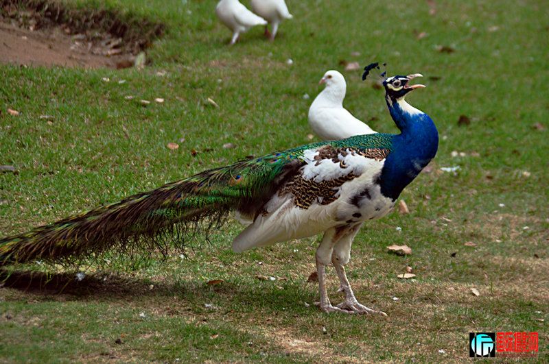 DSC_0840.jpg
