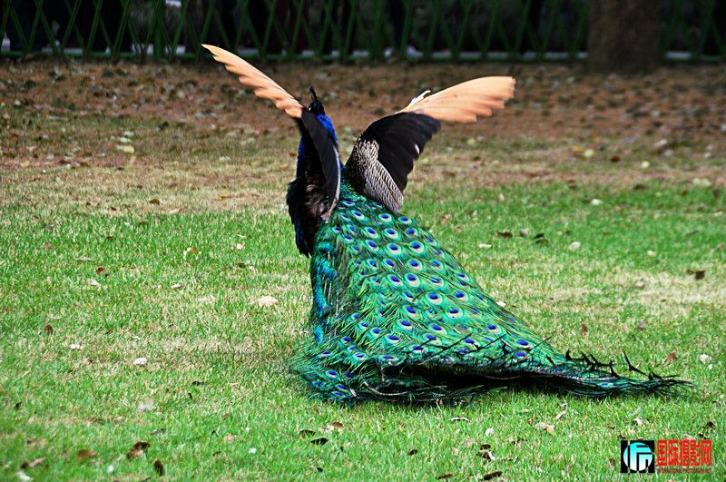 DSC_0116.jpg