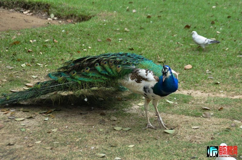 DSC_0893.jpg