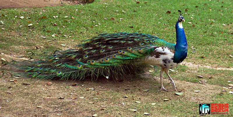 DSC_0891.jpg