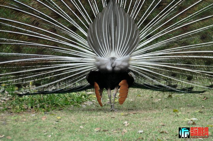 DSC_0122.jpg