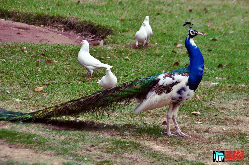DSC_0842.jpg