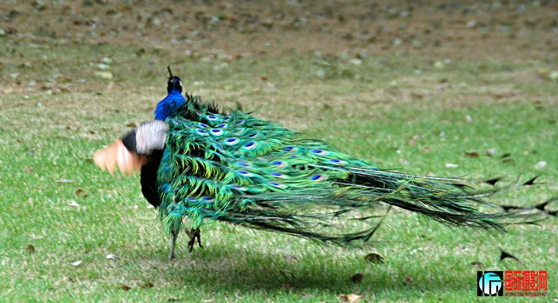 DSC_0118.jpg