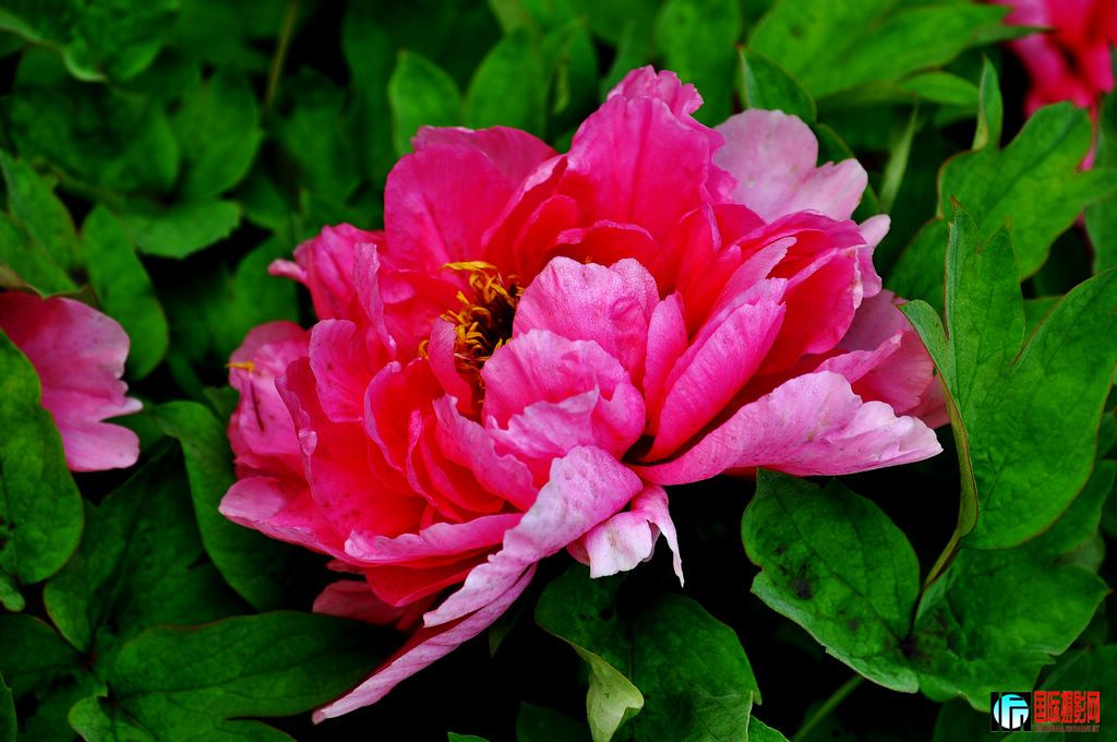 DSC_5046_11057.jpg
