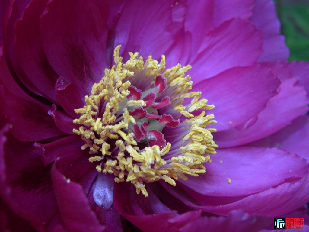 DSCN0947_.jpg