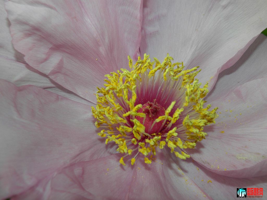 DSCN0937_.jpg