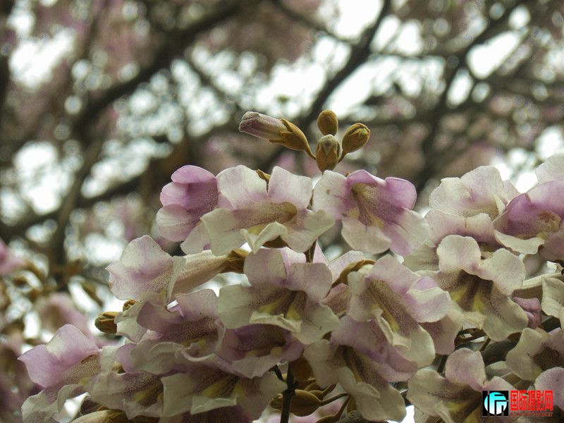 DSCN0699_.jpg