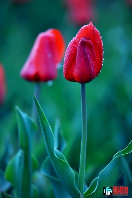  DSC_1672.JPG
