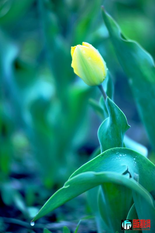  DSC_1673.JPG