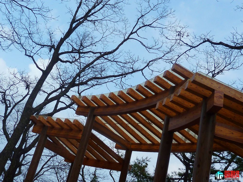 P1010594.JPG