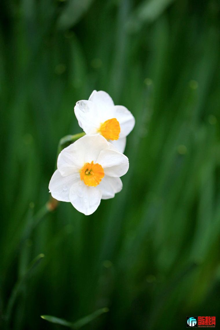 IMG_1078_conew1.JPG