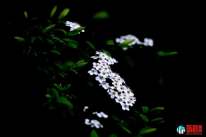 _dsc2509_.jpg