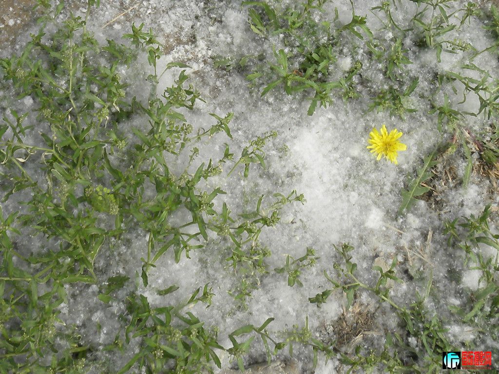 DSCN1173_.jpg
