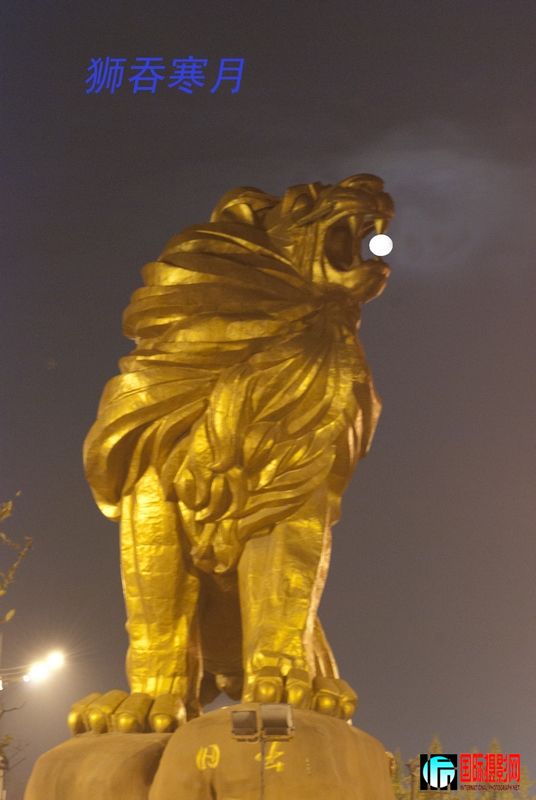 DSC_μʨ4315.jpg