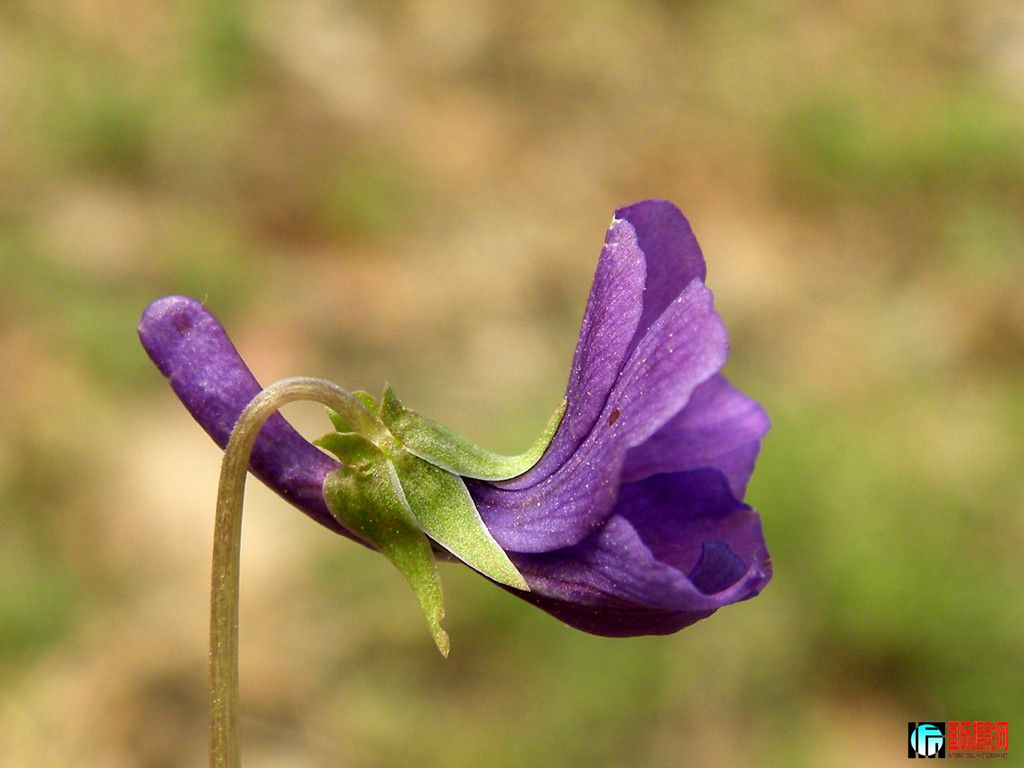 DSCN1202_.jpg