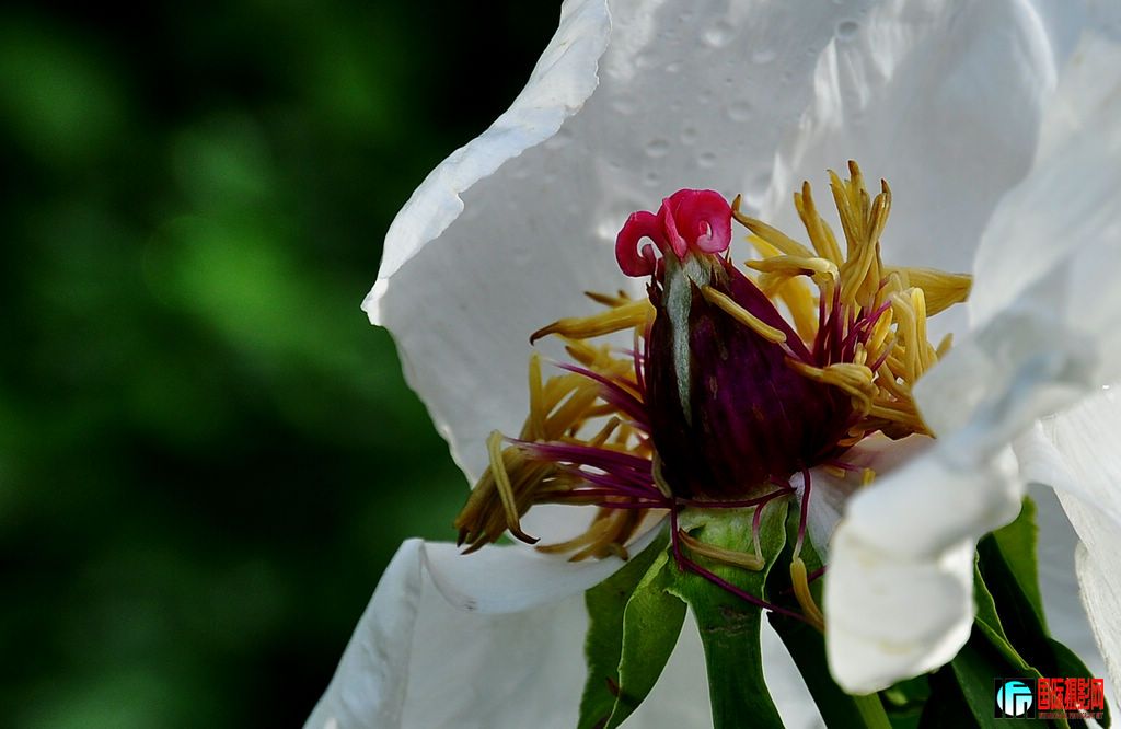 DSC_5212_11177.jpg