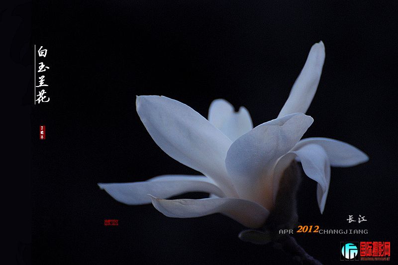 DSC_0283.jpg