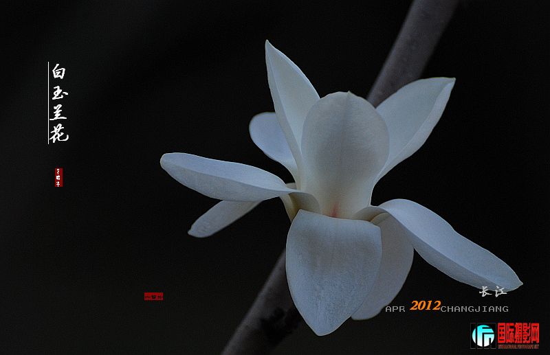 DSC_0284.jpg