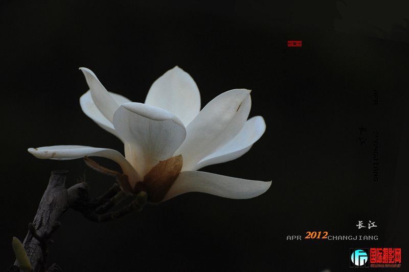 DSC_0287.jpg
