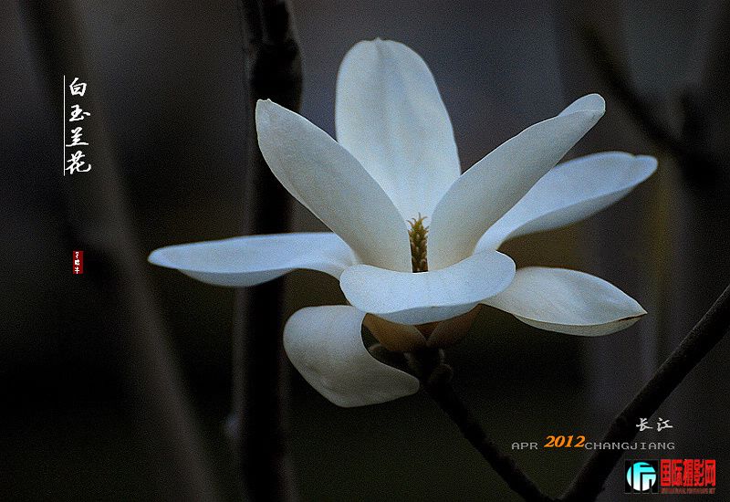 DSC_0292.jpg
