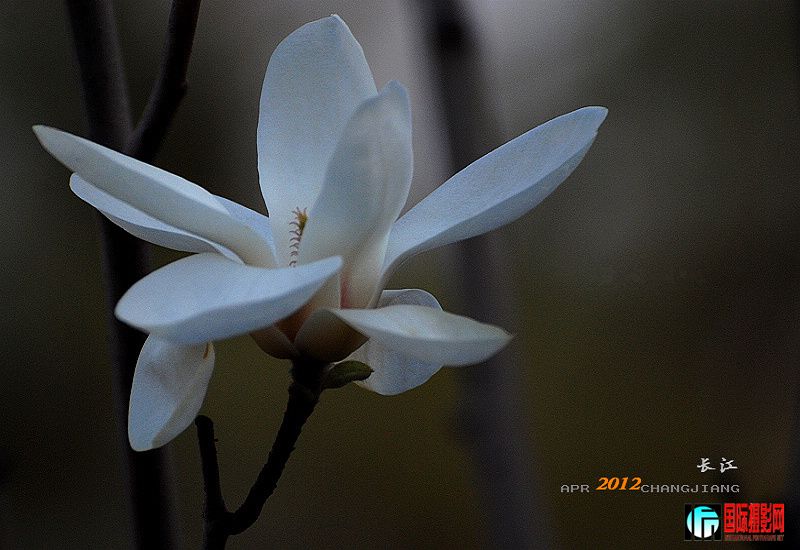 DSC_0291.jpg