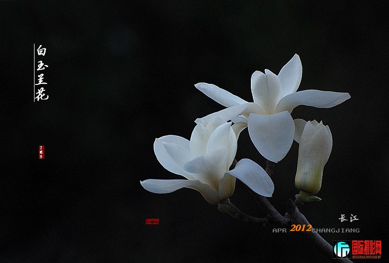 DSC_0295.jpg