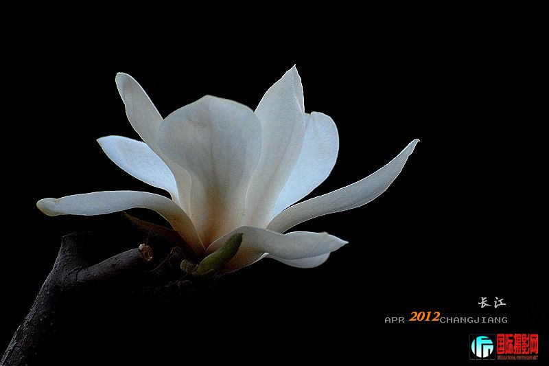 DSC_0300.jpg