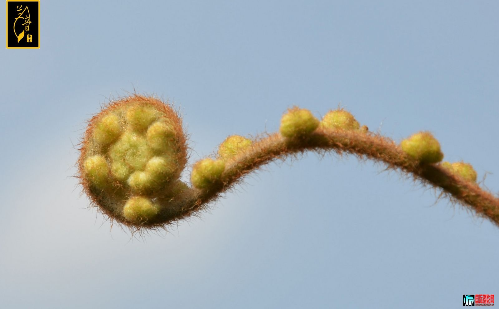 DSC_3414.jpg