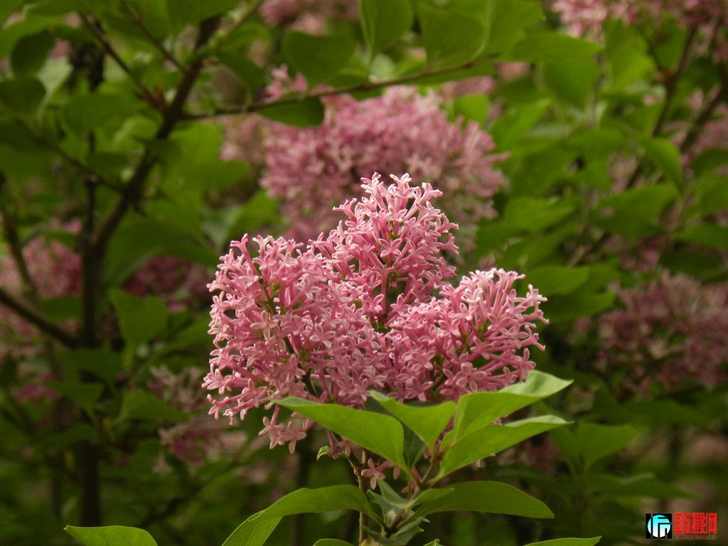DSCN1578_.jpg